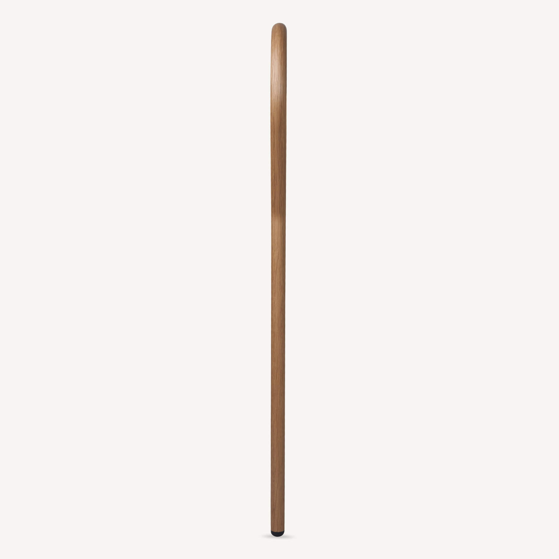 An aesthetic and functional cane