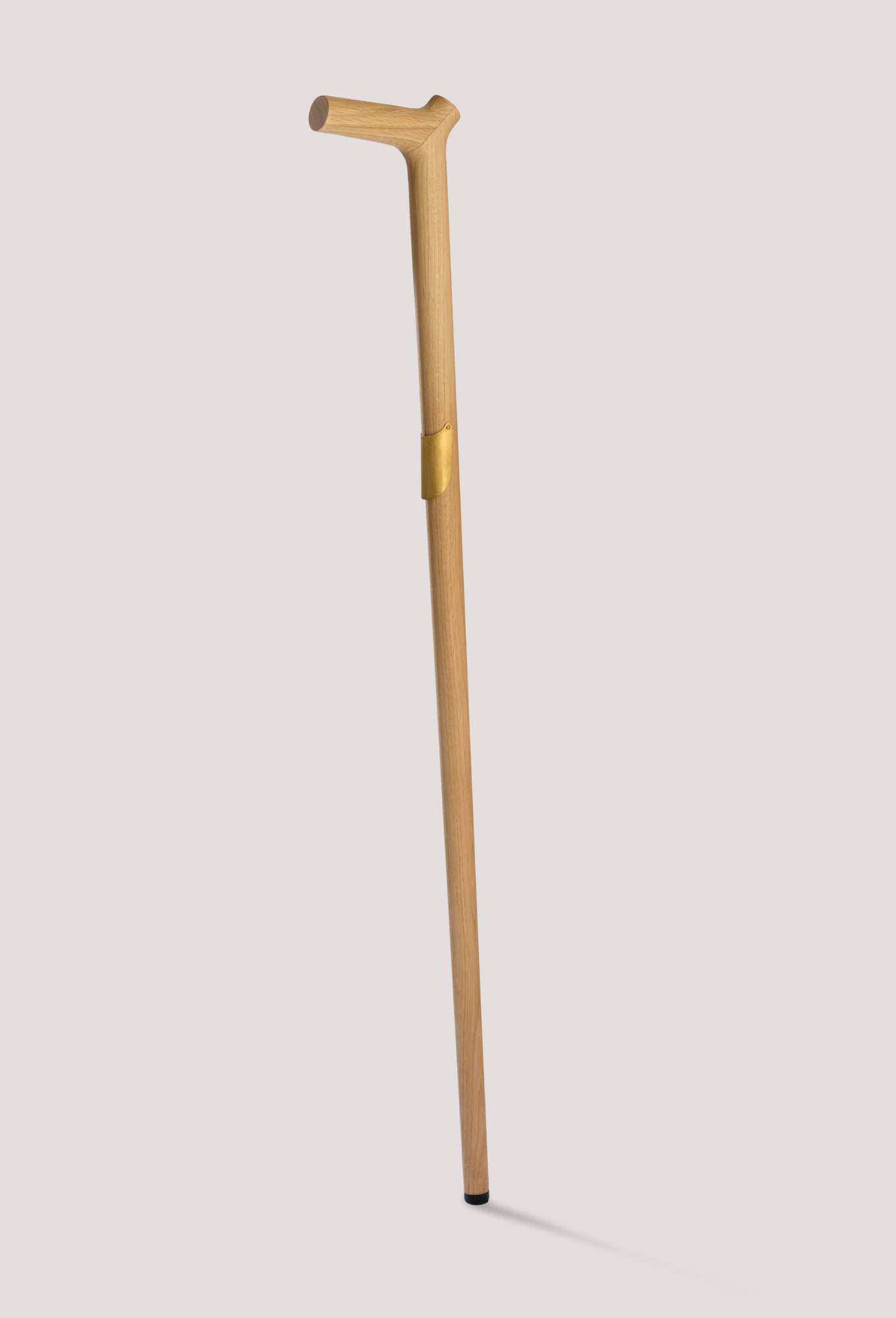 Nyttig a functional cane