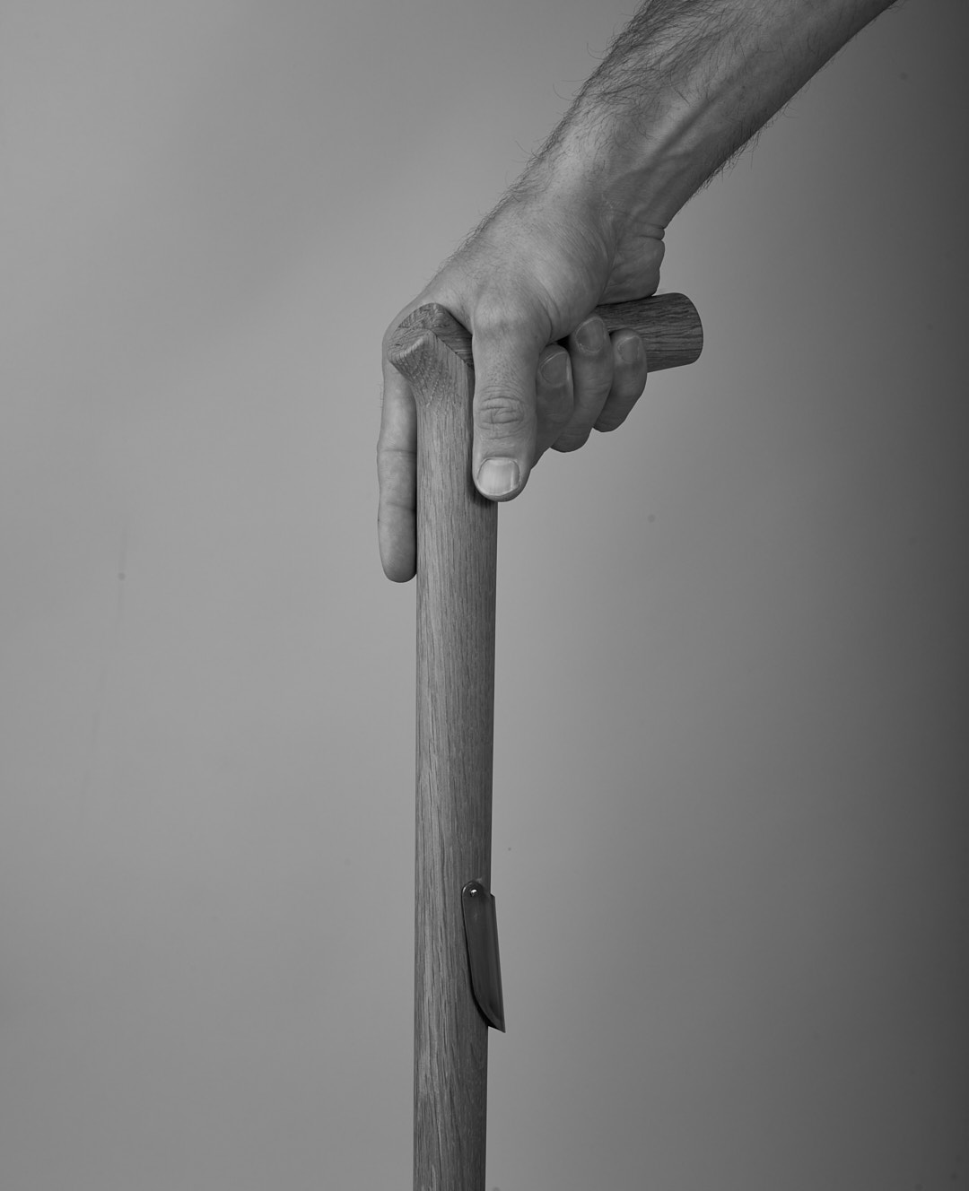 Nyttig a functional cane